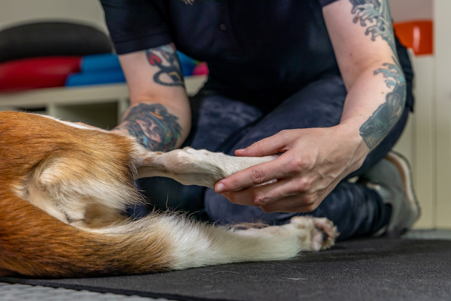 Bewegungstherapie_2022_09_13_93328