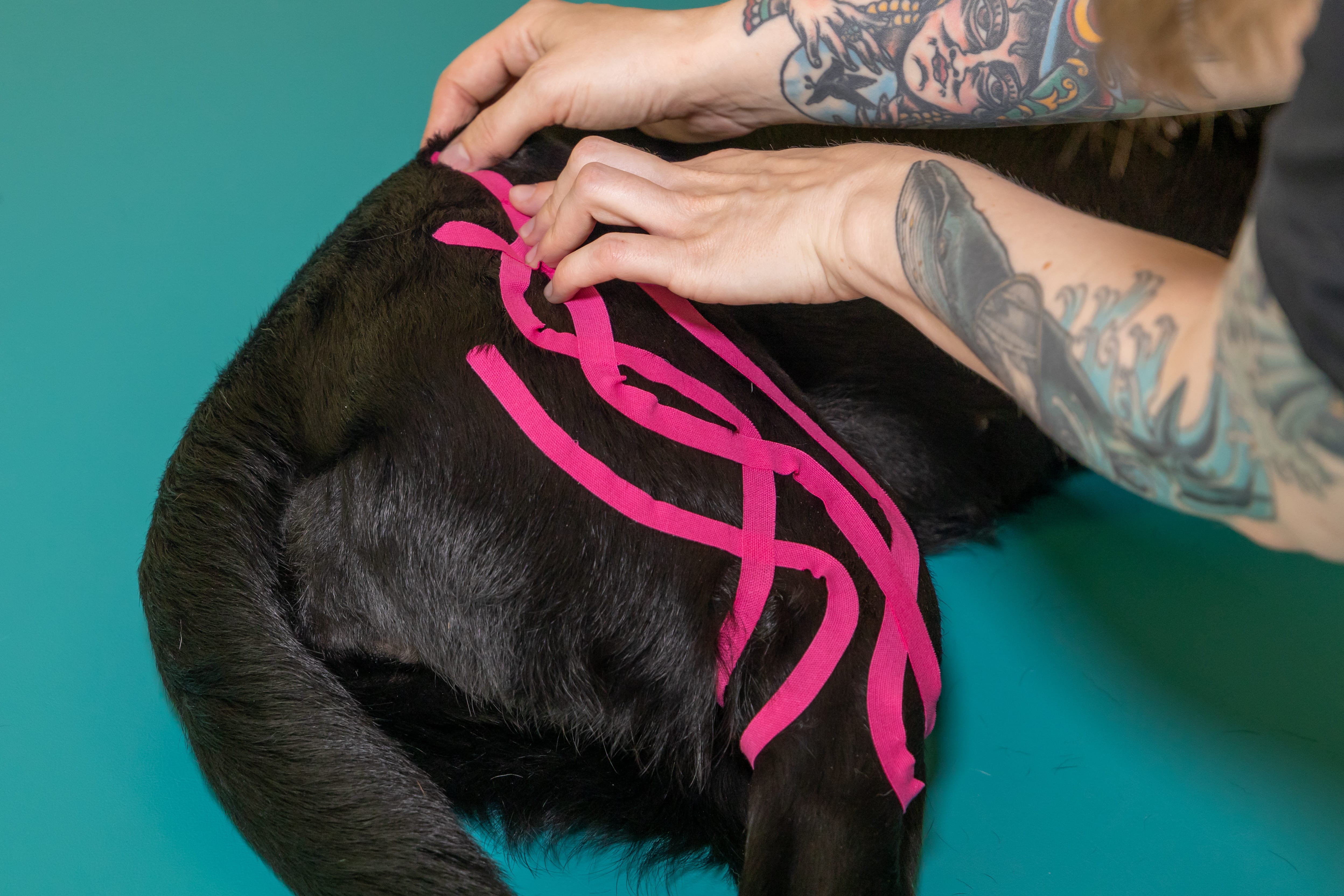 Kinesiotaping_2022_09_13_93451