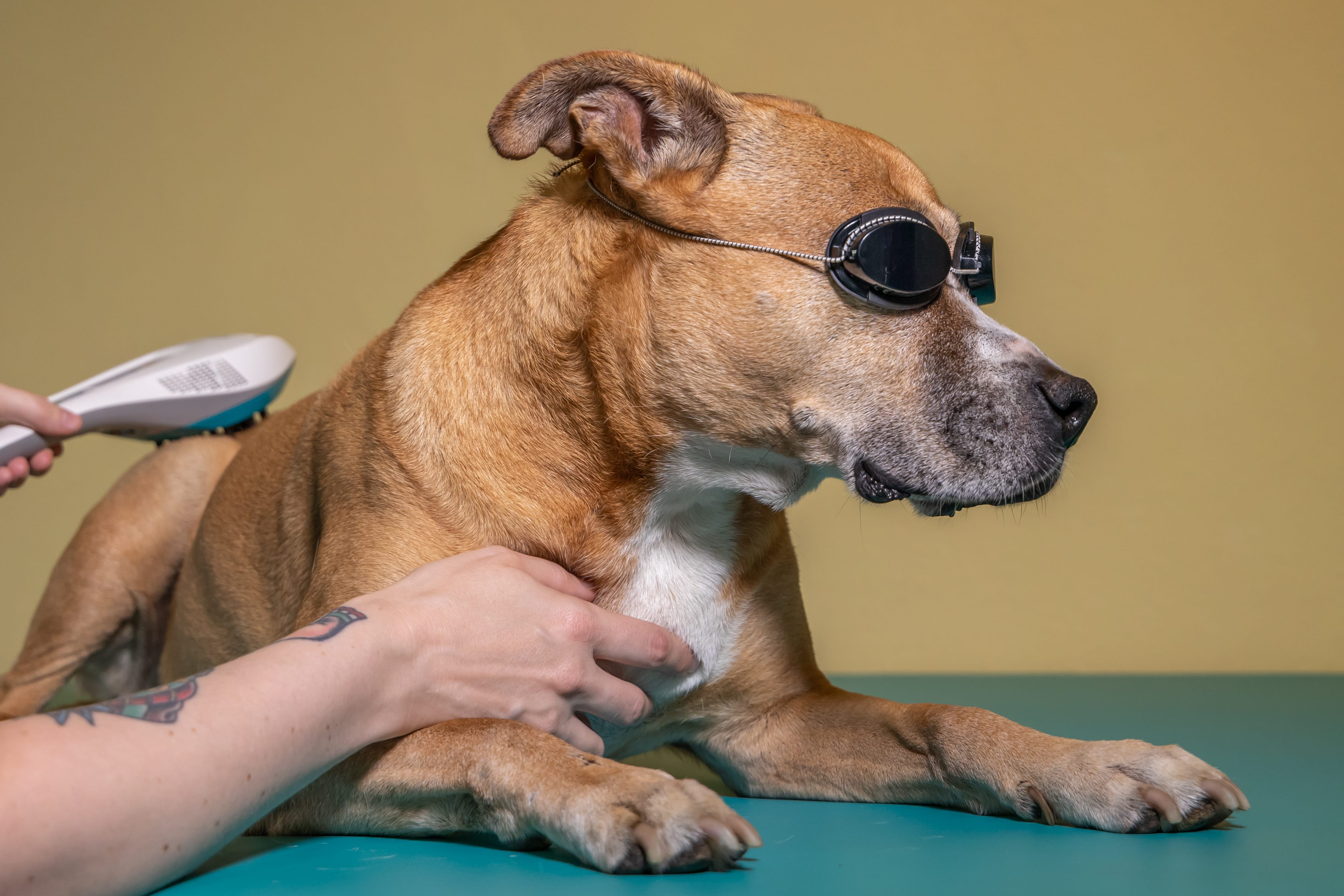 Lasertherapie_2022_09_13_93197